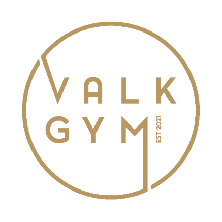 Valk gym logo